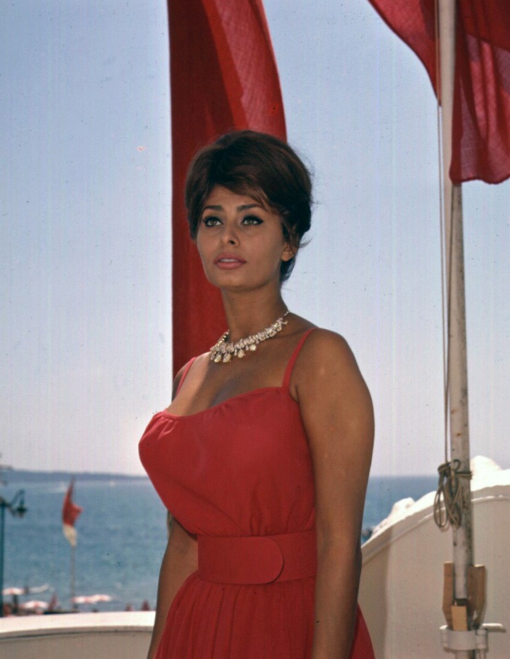 Sophia Loren: pic #371142