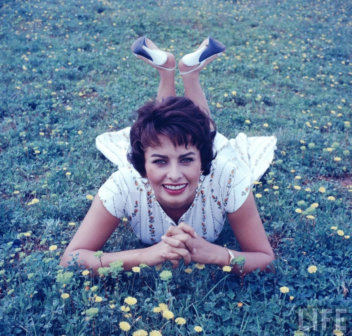 Sophia Loren: pic #241936