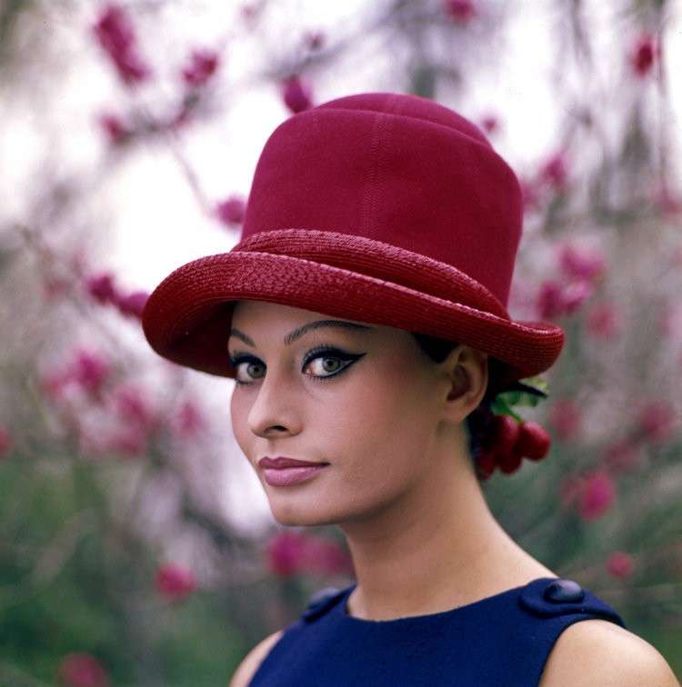 Sophia Loren: pic #193757