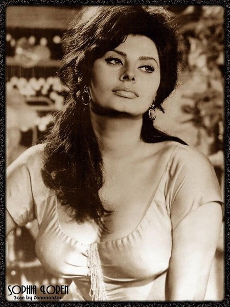 Sophia Loren: pic #50541