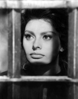 Sophia Loren photo #