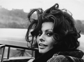 Sophia Loren photo #