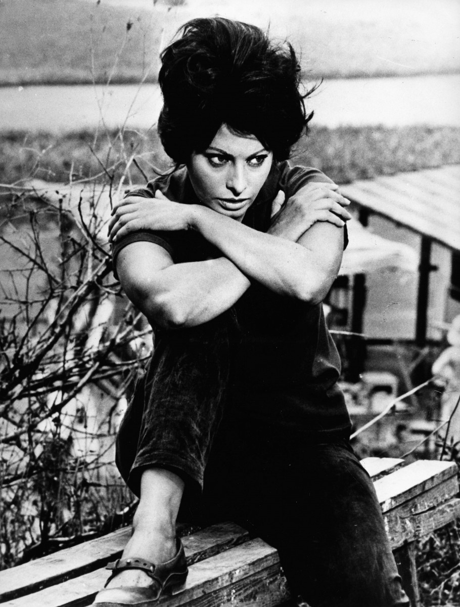 Sophia Loren: pic #484311