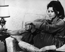 Sophia Loren photo #