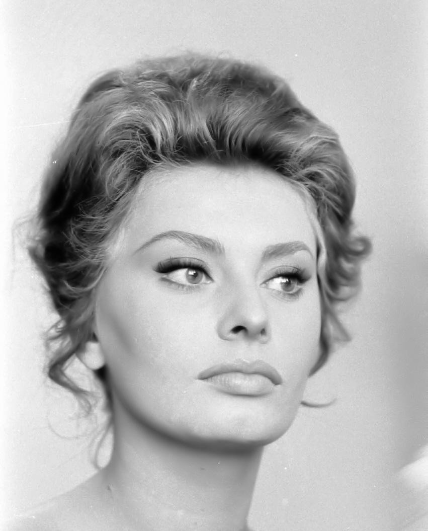 Sophia Loren: pic #462646