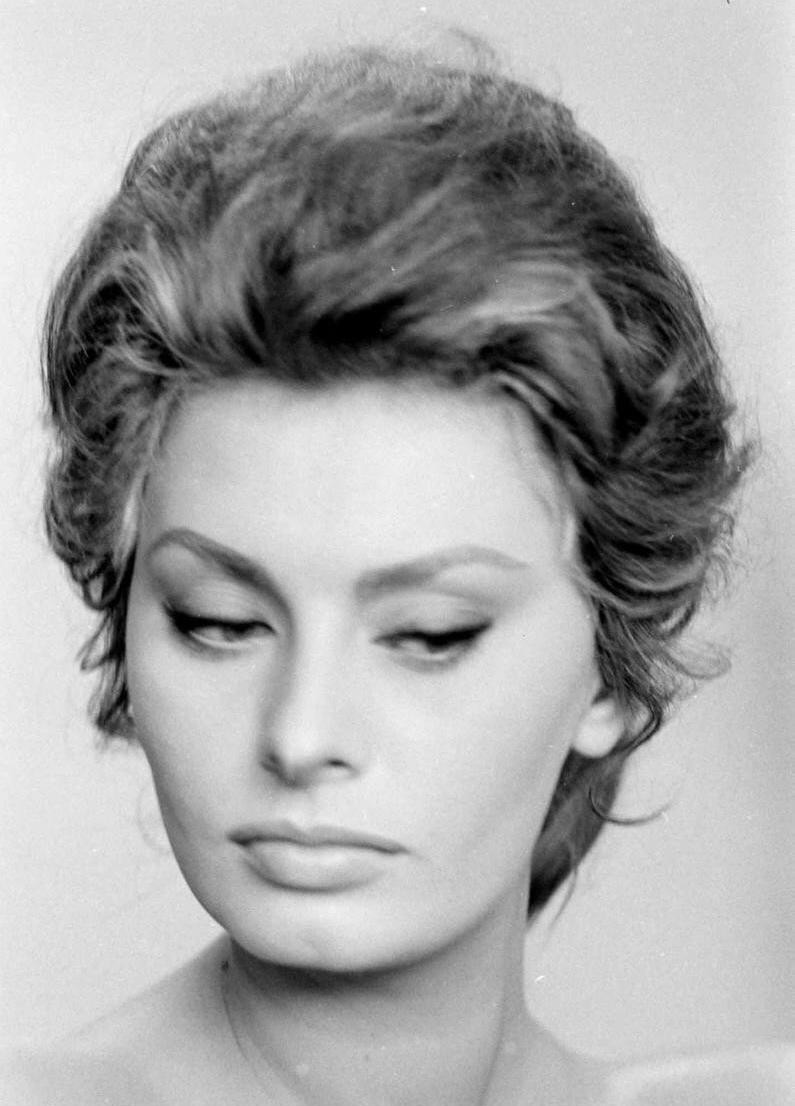 Sophia Loren: pic #462644