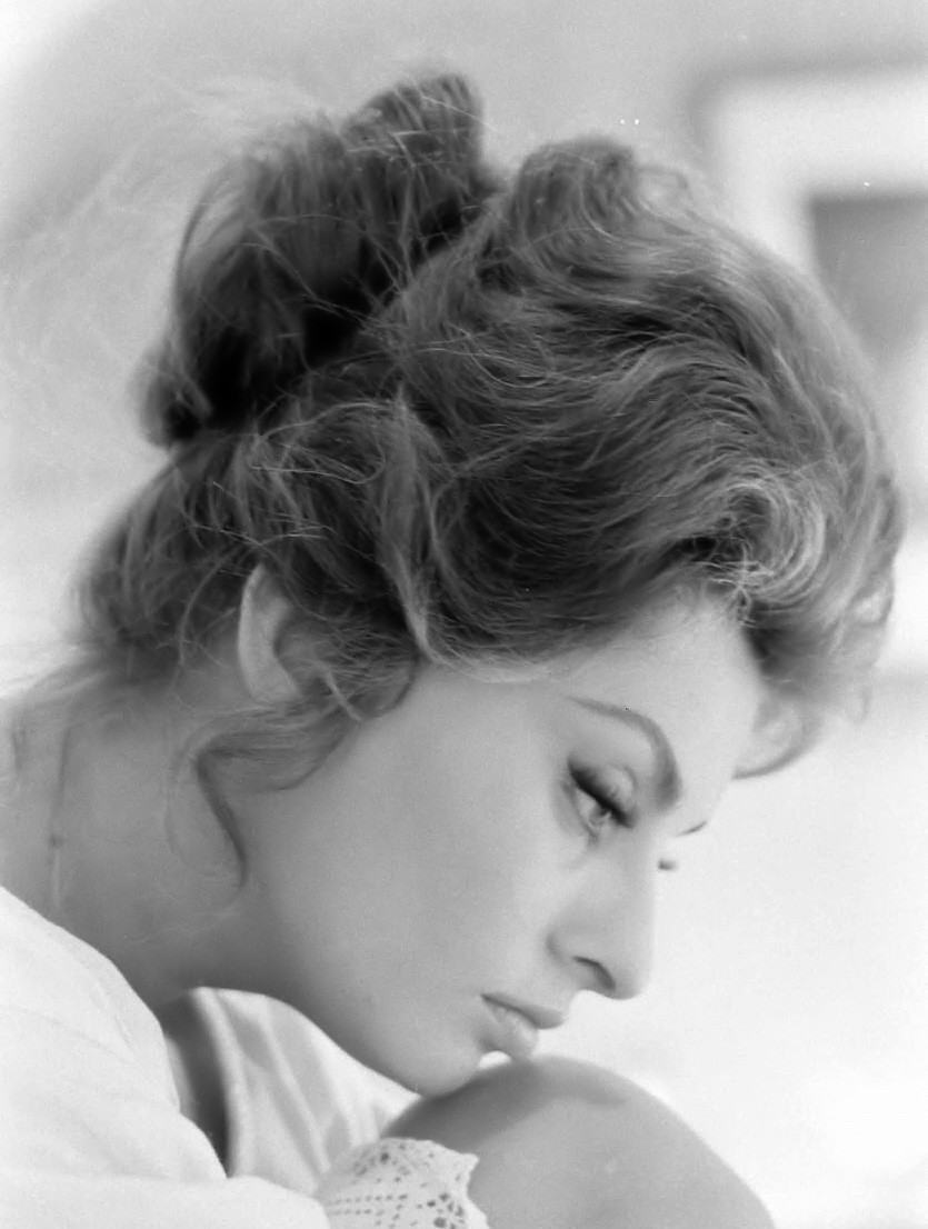 Sophia Loren: pic #462643