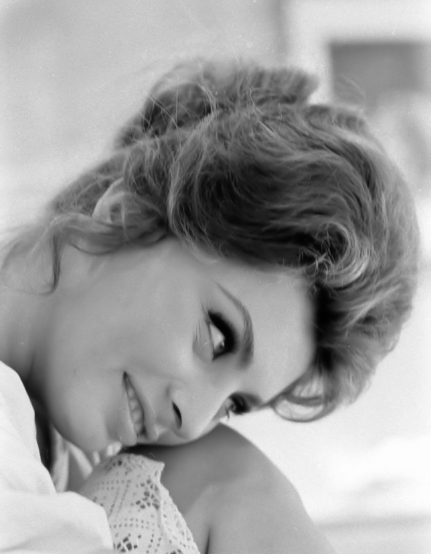 Sophia Loren: pic #462647