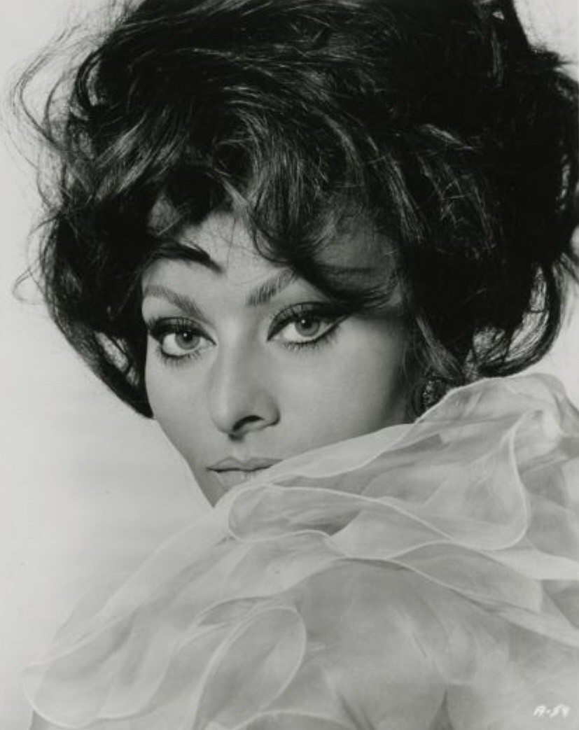 Sophia Loren: pic #457732