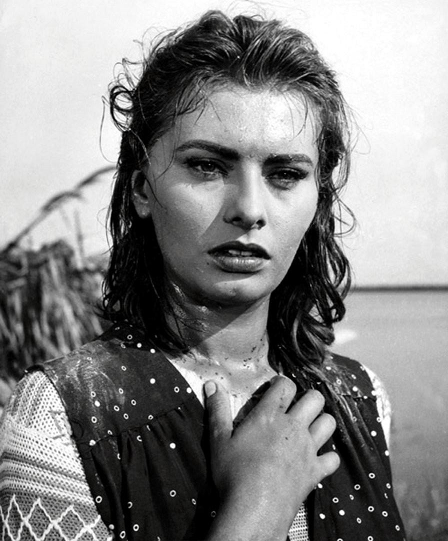 Sophia Loren photo 597 of 929 pics, wallpaper - photo #461219 - ThePlace2