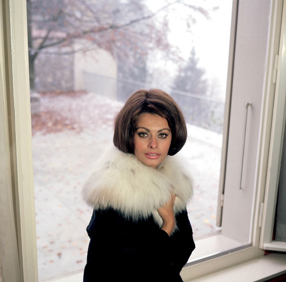 Sophia Loren: pic #375246