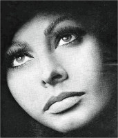 Sophia Loren photo #