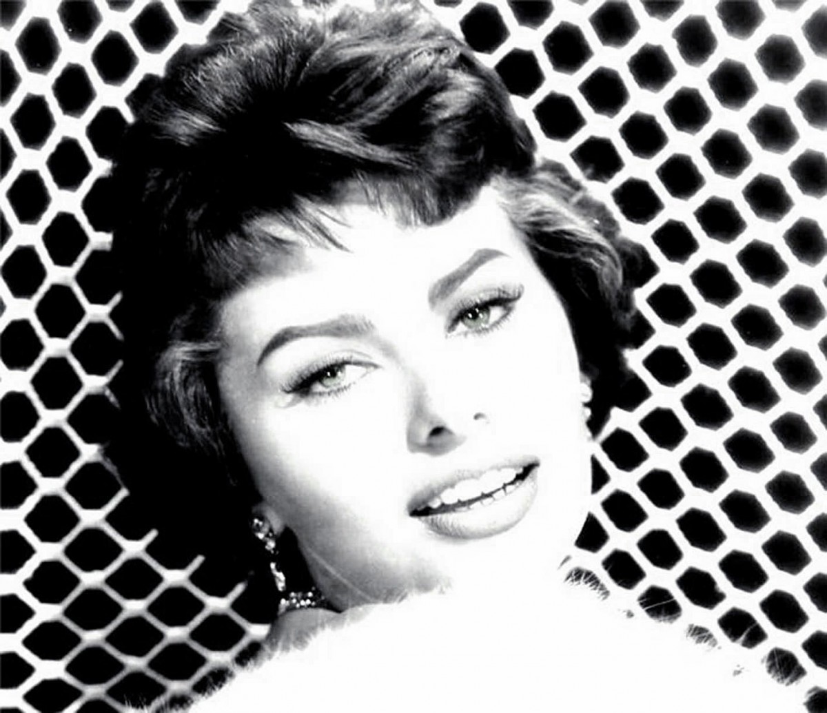 Sophia Loren: pic #488246