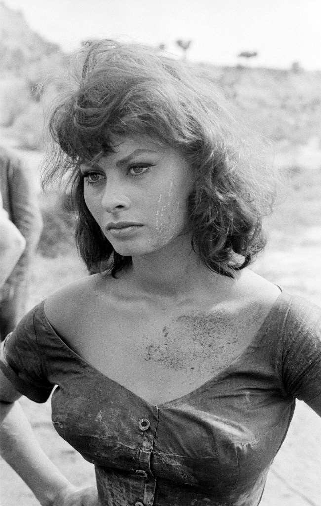 Sophia Loren: pic #1111076