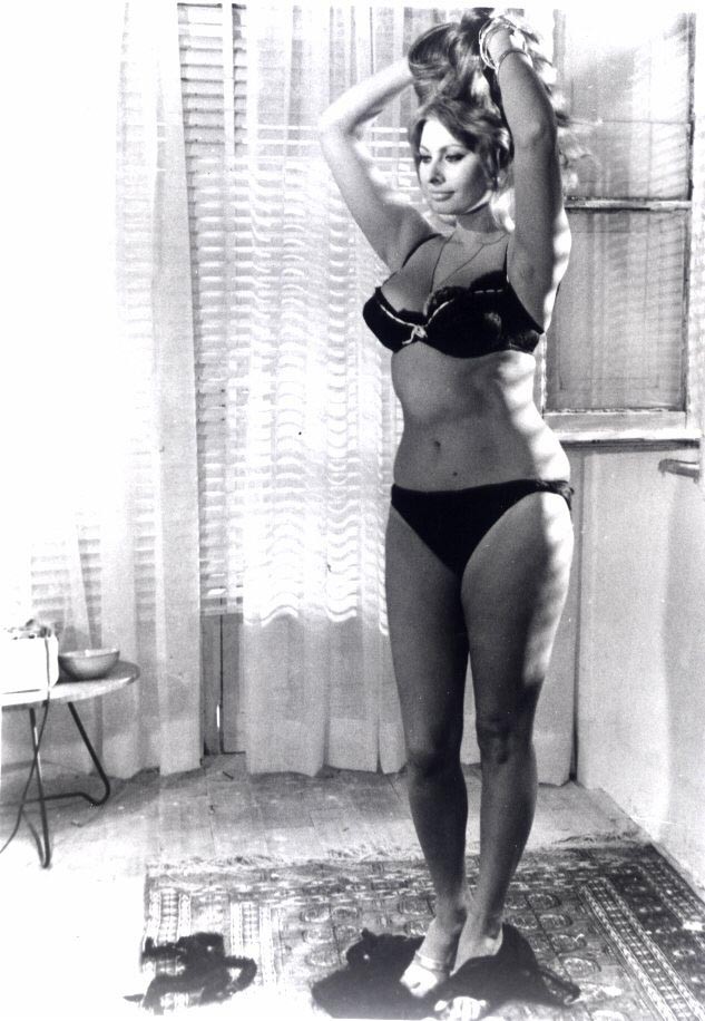 Sophia Loren: pic #51580