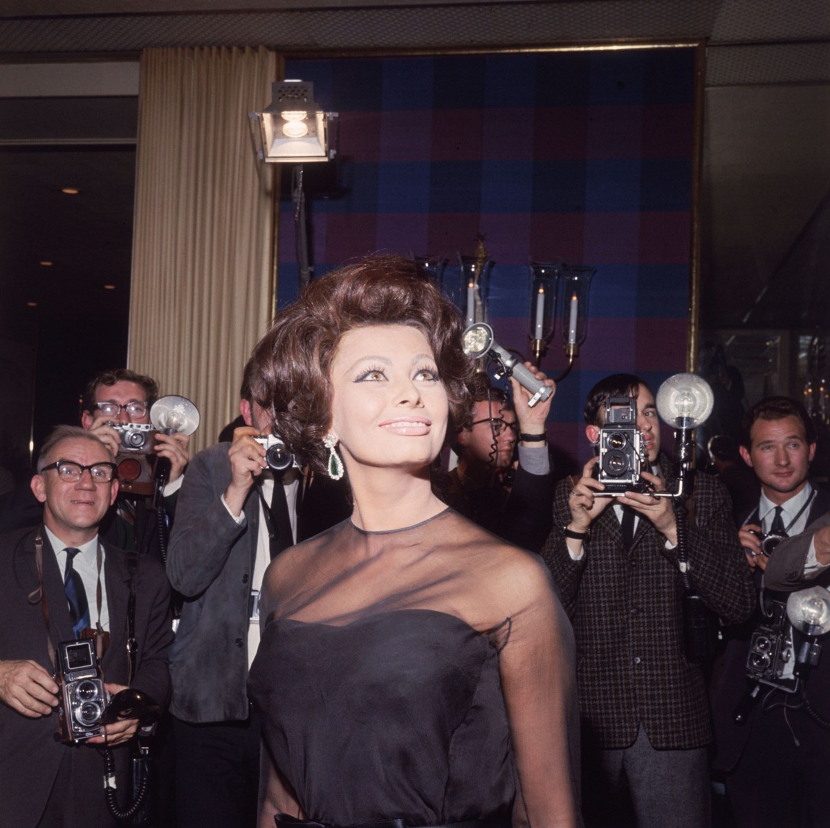 Sophia Loren: pic #374251