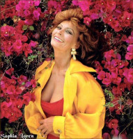 Sophia Loren photo #