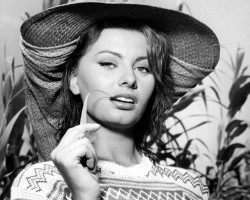 Sophia Loren photo #