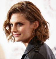 photo 26 in Stana gallery [id645346] 2013-11-08