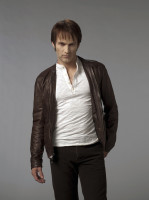 Stephen Moyer photo #