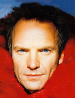 Sting photo #