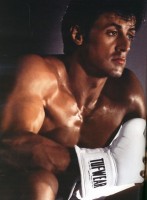photo 8 in Stallone gallery [id73321] 0000-00-00