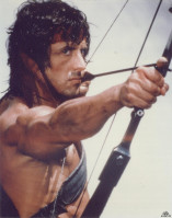 photo 22 in Stallone gallery [id1313921] 2022-11-14