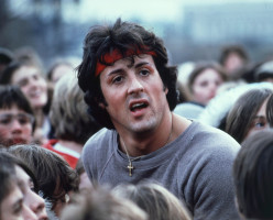 photo 13 in Stallone gallery [id1313920] 2022-11-14