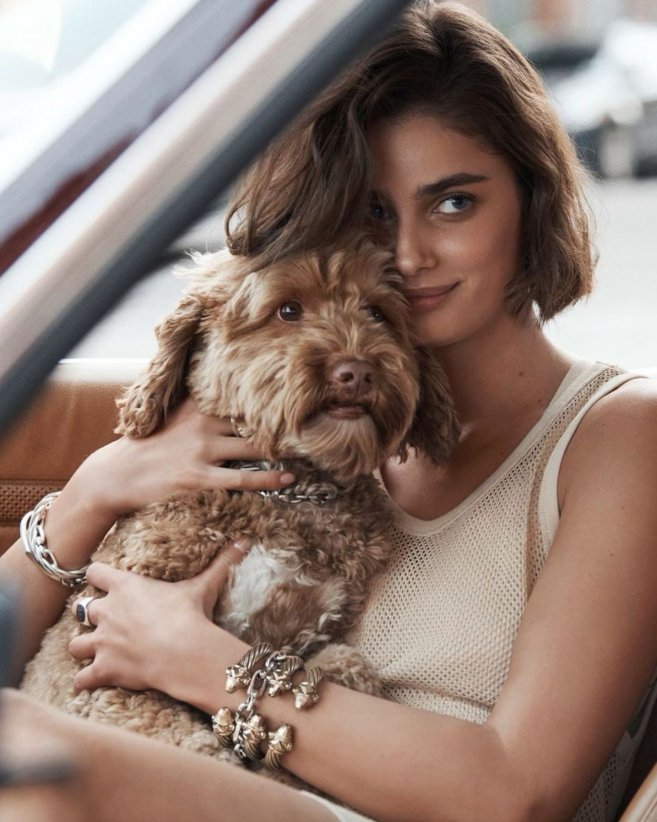 Taylor Hill: pic #1279429