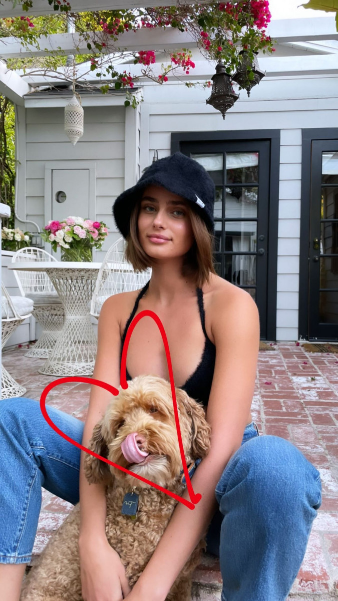 Taylor Hill: pic #1250137