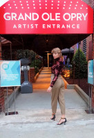 photo 27 in Taylor Swift gallery [id1244867] 2021-01-02