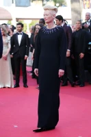 photo 17 in Tilda gallery [id1304274] 2022-07-06