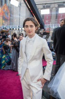 Timothee Chalamet photo #