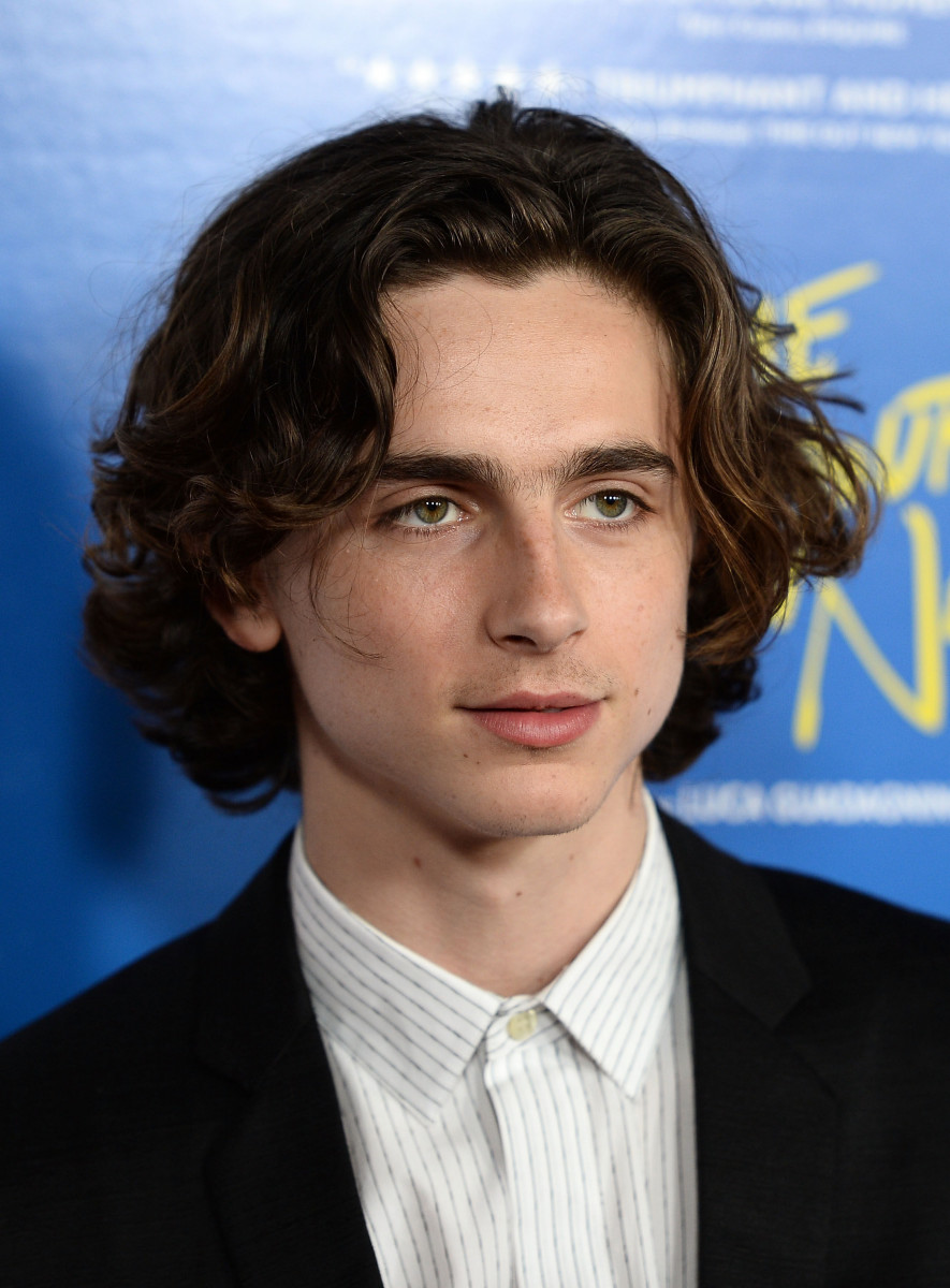 Timothee Chalamet: pic #1302828