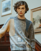 Timothee Chalamet photo #