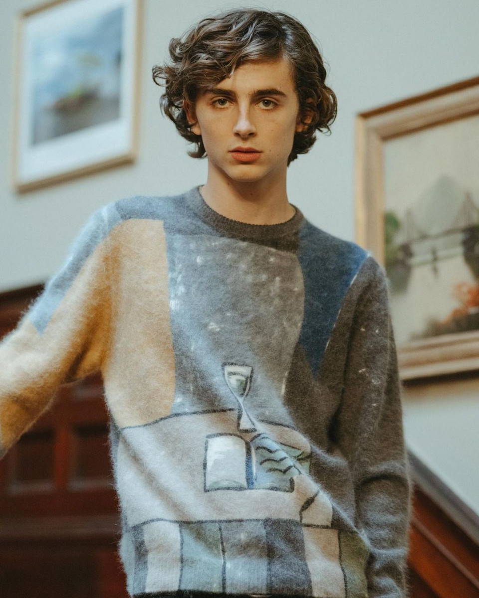 Timothee Chalamet: pic #1323731