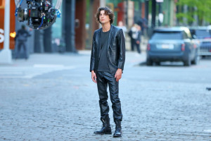 photo 22 in Chalamet gallery [id1332760] 2023-08-31