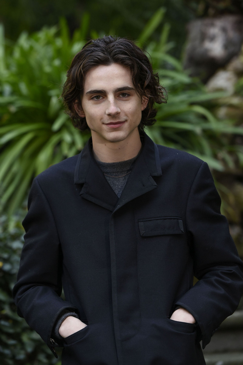 Timothee Chalamet: pic #1280421