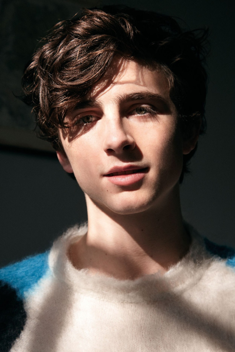 Timothee Chalamet: pic #974702