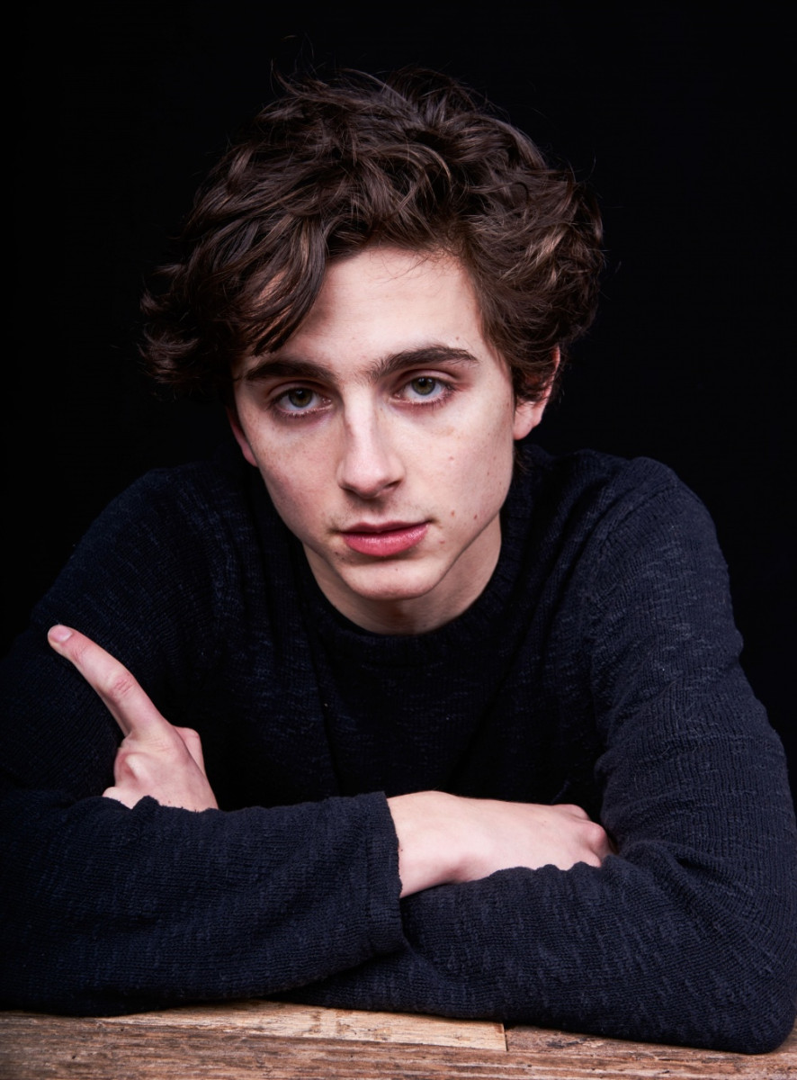 Timothee Chalamet: pic #975196