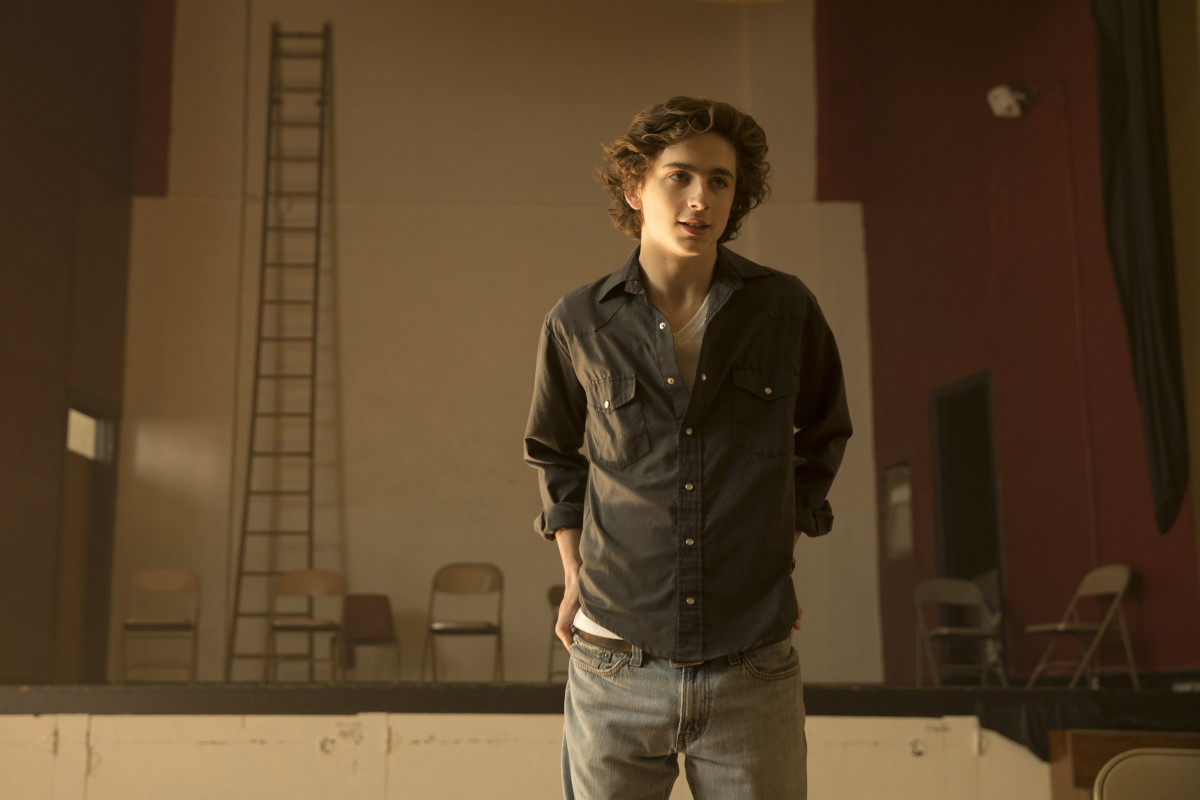 Timothee Chalamet: pic #1273974