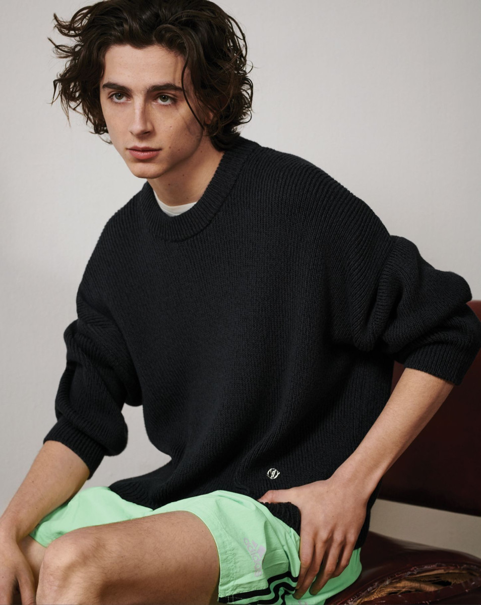 Timothee Chalamet: pic #1024669