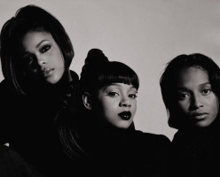 TLC photo #