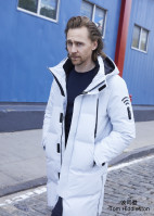 Tom Hiddleston photo #