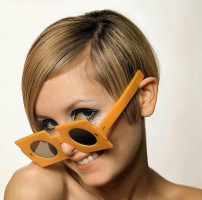 Twiggy photo #