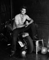 photo 10 in Hoechlin gallery [id923022] 2017-04-10