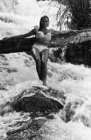 photo 18 in Ursula Andress gallery [id486909] 2012-05-11
