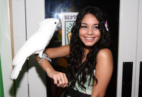 Vanessa Hudgens photo #