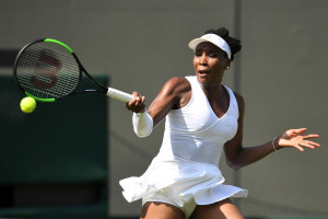 Venus Williams photo #