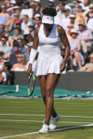 Venus Williams photo #